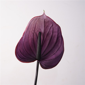 <span class=keywords><strong>Fleur</strong></span> artificielle de style européen, aspect naturel, <span class=keywords><strong>Arum</strong></span> rouge, Crinière de cheval, pour aménagement de salle, photographie et mariage - Product Image 3