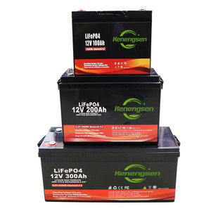 Bán buôn tùy chỉnh LiFePO4 pin 12V 24V 48V 100AH 200AH 300ah 400ah pin năng lượng mặt trời Hệ thống lưu trữ - Product Image 4