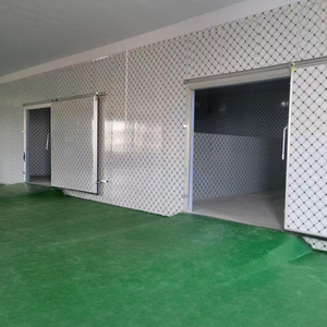 Tích cực/tiêu cực chambre froide tủ đông tủ lạnh lưu trữ đi bộ trong phòng lạnh - Product Image 3