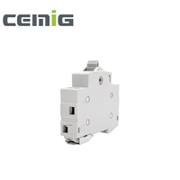 CEMIG alta calidad 2P 63A 230/400VAC Modular Dual Power interruptor aislador de transferencia Manual interruptores de instalación de riel Din