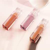 Vente en gros de rouge à lèvres longue tenue, gloss à lèvres DIY, plusieurs couleurs, logo personnalisé, gloss à lèvres, fabricant chinois