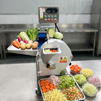 Industriële commerciële roestvrijstalen automatische fruit- en groentestrip-, zoete aardappelchips- en uien snijmachine voor de groenteverwerkingsindustrie