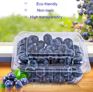 125 250/500g Blister Fruit Blueberry Berry Strawberry Clamshell Packaging Disposable Clear Plastic Box Pack Container With Holes