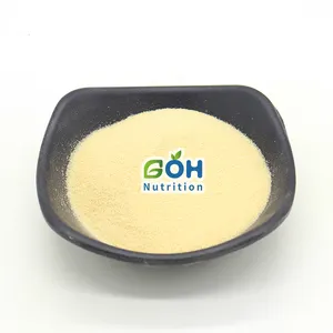 Wholesale High Quality Pure Organic Pollen Pini Powder