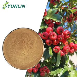 高品質の純粋な天然サンザシ粉末、オーガニック凍結乾燥フルーツ・野菜粉末の専門メーカー - Product Image 1