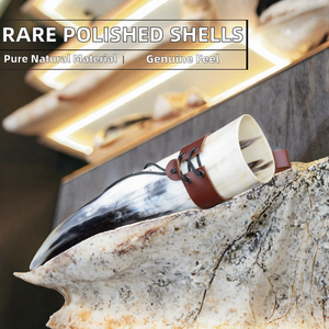 Corne à boire en coquille naturelle polie, ronde et décorative, avec support en cuir, spécimen de corne de buffle pour décoration intérieure ou cadeau par HF CRAFTS - Product Image 2