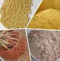 Moulin à farine de blé électrique à haut rendement Pierre à bas prix Accueil Grain Meule Poudre Produits finis