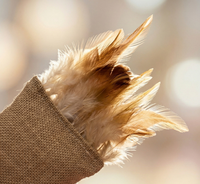 Jouet pour chat en lin et plumes avec herbe à chat et vigne argentée, résistant à l'usure, pour le nettoyage des dents molaires, pour le jeu autonome et la mastication, fournitures pour animaux de compagnie