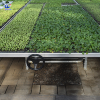 Plateau à semis en plastique écologique, plateau de germination à cellules pour le démarrage de semis de plantes de jardin et la propagation à grande échelle