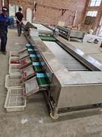Hot Koop Fruit Citroen Mango Druif Ui Kleine Tomaat Sizer Grader Sorter Machine
