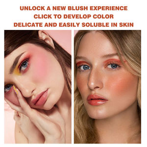 Fard à joues minéral naturel à vente chaude, contrôle du sébum, anti-cernes, haute pigmentation, 6 couleurs, imperméable, longue durée, crème mate - Product Image 2