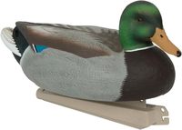 Offre Spéciale : Leurres de Canard Mallard Classiques et Essentiels – Réalistes et Durables pour la Chasse