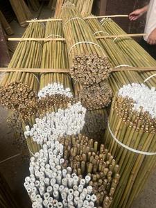 Canes en bambou naturel de haute qualité, piquets en bambou agricoles pour le soutien des plantes de pépinière, des fleurs et des tomates - Product Image 2
