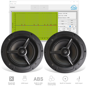 Altavoz de Techo Inalámbrico BT con Sistema de Audio y Amplificador para Cine en Casa Inteligente, Altifalante de Techo Comercial - Product Image 3