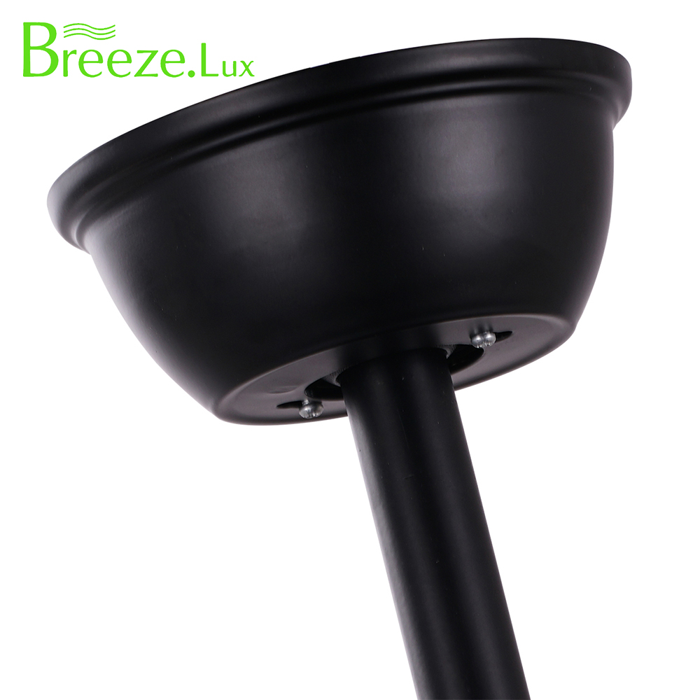 Decorative ceiling fan light
