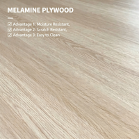 Panneau décoratif en contreplaqué mélaminé 4x8 personnalisé, grain de bois, pour meubles, armoires, applications intérieures, imperméable