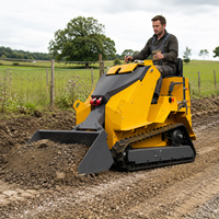 Minipala cingolata diesel Kubota Euro 5 EPA da 800 kg-1000 kg con trinciatrice forestale e tosaerba