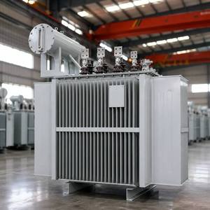 Transformateur de répartition immergé dans l'huile, triphasé 11 kV, en cuivre et aluminium amorphe, pour rénovation de réseau - Product Image 4
