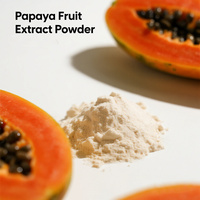 Ingrediënt Kruidenextract Hoge Concentratie Papajapoeder Papajavruchtenpoeder