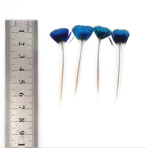 Plumes <span class=keywords><strong>de</strong></span> paon <span class=keywords><strong>de</strong></span> haute qualité 5-7 cm, belles plumes <span class=keywords><strong>de</strong></span> paon naturelles pour la fabrication <span class=keywords><strong>de</strong></span> bijoux, décorations et accessoires décoratifs - Product Image 5