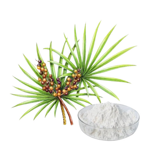Extrato de <span class=keywords><strong>Saw</strong></span> <span class=keywords><strong>Palmetto</strong></span> em Pó Grau Alimentício 98% Embalagem em Tambor Fornecedor a Granel 84604-15-9 Suplementos Esportivos e Energéticos à Base de Ervas - Product Image 3