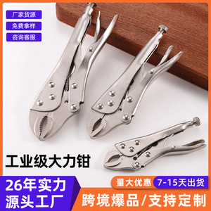 Pince multifonction Luwei 10 pouces (63 mm) à ouverture maximale, mâchoires dentelées, outil de serrage de qualité industrielle - Product Image 4