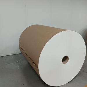 วัตถุดิบกระดาษเคลือบ PE สำหรับทำแก้วกระดาษแบบใช้แล้วทิ้ง - Product Image 4