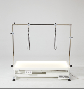 Stainless Steel Luxury Remote Control Light Table Socket Hook Design Electric Luminous Lifting Pet Grooming Table YM-D001LP - Product Image 2
