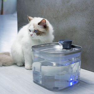 Alimentador de filtro de agua ovalado silencioso grande de 3L, fuente de agua para gatos, dispensador de agua potable para perros y gatos - Product Image 3