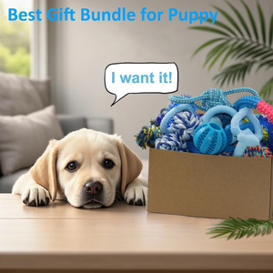Hot Sale China Manufacturer Luxury Interactive <b>Dog</b> Toys Low Price TPR Rubber Pet Movement Toys - Product Image 6