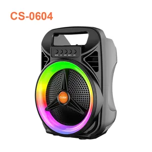 Single 6.5 Inch Newbie RGB Lights TWS Connection FM Radio Function Hand-held Portable Wireless Speaker