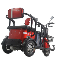 Tricycle électrique familial à deux places pour personnes âgées, 24V 500W, carrosserie ouverte, scooter cargo, pour passagers et enfants