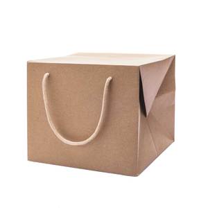Borsa Portapanettone Kraft Avana 24,5 cm + 24,5 cm x 20 cm - Product Image 1