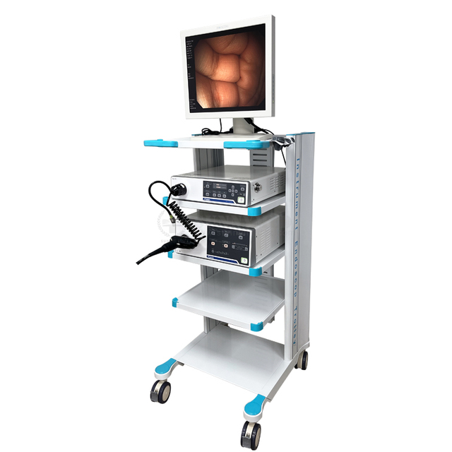 SY-P006-1 HD Endoscopy Camera System Laparoscopy Tower for Veterinary Endoscope Surgery Pregnancy Endoscope System