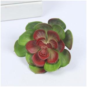Plantas Artificiales <span class=keywords><strong>de</strong></span> PVC al por Mayor, Flores Pequeñas <span class=keywords><strong>de</strong></span> Alta Gama, Césped <span class=keywords><strong>de</strong></span> Aspecto Real, Plantas Ornamentales Ecológicas para Interiores - Product Image 6
