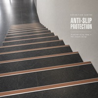 Protection de bordure d'escalier en alliage d'aluminium avec insert en PVC antidérapant pour les marches des halls d'hôtel
