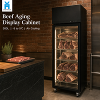 Réfrigérateur de maturation de bœuf BSG630 500L, vitrine de présentation à porte unique pour boucherie et cuisine de restaurant