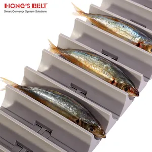 HongsBelt 820-K550-31mm 클리트 물고기 머리 처리 용 모듈식 플라스틱 체인 컨베이어 벨트