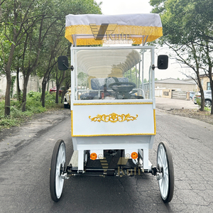 Chariot de Mariage Royal Luxueux à Chevaux Électrique à 4 Rangs pour Visites Touristiques, Chariot de Mariage Blanc à Chevaux à Vendre - Product Image 5