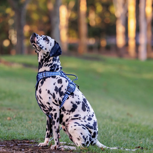 快適なステップイン式犬用ハーネス、頑丈で反射素材付き、アクティブなペットのための簡単操作ハンドル付きファッションハーネス - Product Image 4