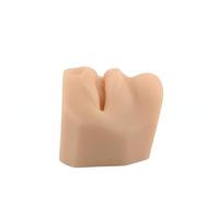 Modelo de enseñanza médica: modelo de boca de silicona para perforación, punción y práctica de sutura