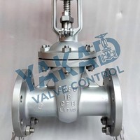 Vanne à opercule en acier inoxydable API 603 316/316L/304/CF8/CF8M/Duplex 4"/6"/8"/10" Classe 150 à bride RF à faible émission