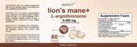 Capsules d'extrait de Hericium Erinaceus (Crinière de lion) personnalisables en gros avec marque privée OEM pour la santé cognitive