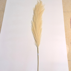 150Cm Dài Chất Lượng Cao Handmade Cán Pampas Cỏ Trang Trí Nhân Tạo Hoa Bó Hoa Bền Trang Trí Nội Thất Đám Cưới Cảnh - Product Image 2