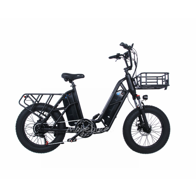 Electric Cargo 20inch*4.0 Electric Bike Brushless Geared Hub Motor 48v 500w Fat Tire Ecargo With Dual Batteries for Riders