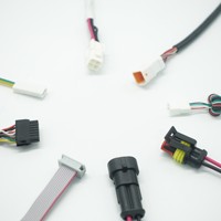 Câble personnalisé JST 2-16 broches, pas de 2,0 mm, connecteur mâle/femelle, isolation PTFE/PVC, fabrication de faisceaux de câbles de prise d'alimentation ODM/OEM