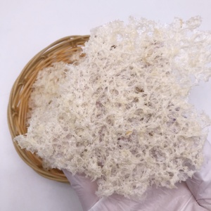 เห็ดหูหนูขาวออร์แกนิก (Tremella Fuciformis) แบบแห้ง  ทั้งชิ้น  เหมาะสำหรับทำซุปและของหวาน - Product Image 2