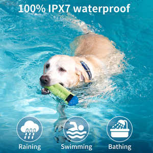 Collar de Entrenamiento Impermeable para Perros Pequeños, Medianos y Grandes, con Control Remoto, 3 Modelos, Collares de Entrenamiento Antiladridos para Mascotas - Product Image 4