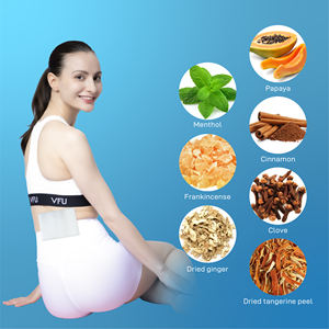 Medizin pflaster, maximale Stärke Wirkstoff Schmerz linderung pflaster, Schmerz linderung pflaster für Rücken, Schulter, Ellbogen, Muskel - Product Image 3