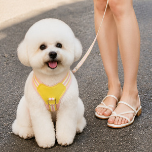 Dog leash, small dog, pet <b>harness</b>, dog leash, puppy <b>harness</b>, dog walking leash. - Product Image 1
